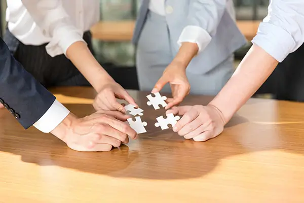 武汉大学丁佳慧简介