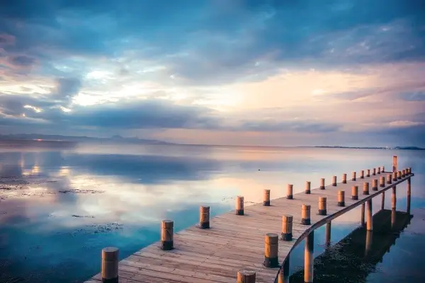 伦敦大学肿瘤教授简介