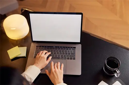 天津大学力学简介