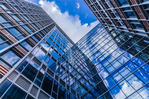 西南大学邓飞简介照片