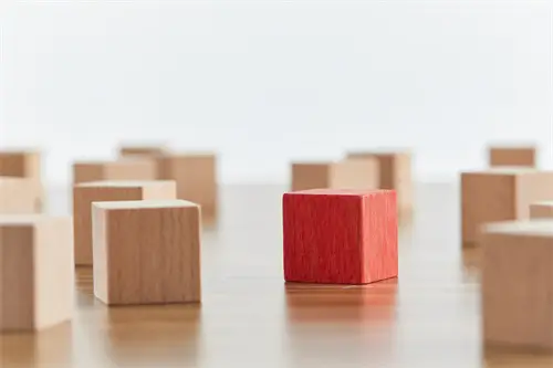 西藏大学陈顺森简介