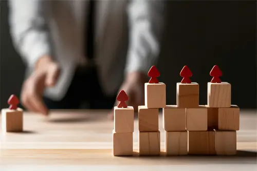 临沂大学陈雨欣简介